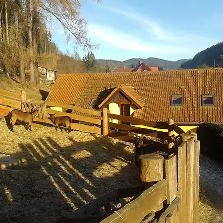 - Cerna Hora Holiday home Svoboda nad Upou