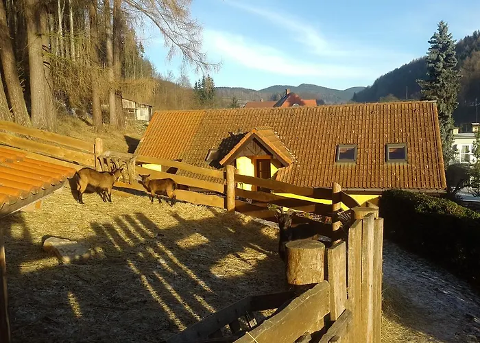 - Cerna Hora Feriehus Svoboda nad Úpou